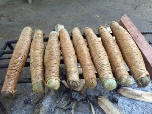 Fresh Ecuadorian Mapacho tobacco roll prepared for storage