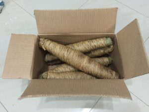 Fresh Ecuadorian Mapacho tobacco roll prepared for storage