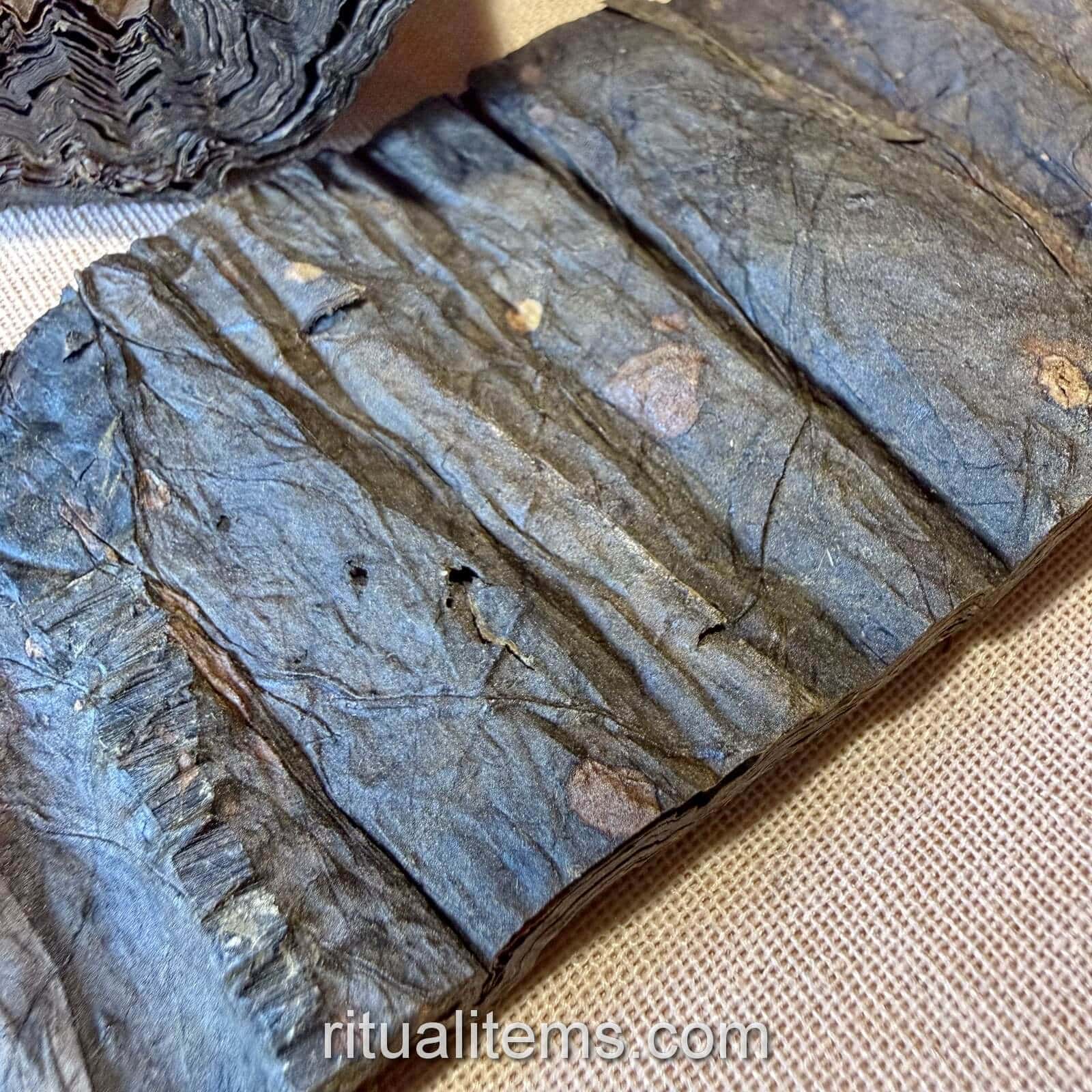 Flattened Mapacho leaf section showing parallel creases and small holes.
