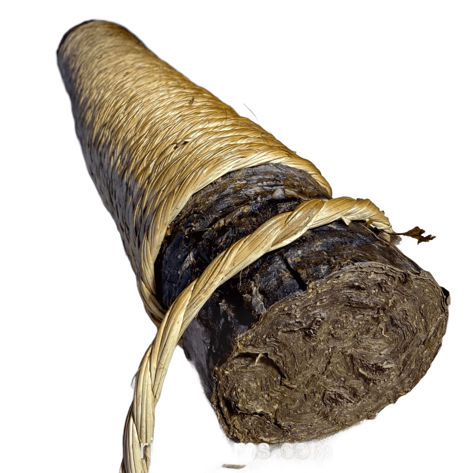 Ecuadorian Kichwa Mapacho roll showing its cut end and palm-fiber wrapping